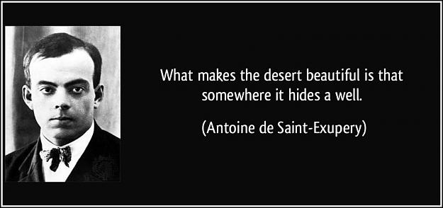 Click to Enlarge

Name: quote-what-makes-the-desert-beautiful-is-that-somewhere-it-hides-a-well-antoine-de-saint-exupery.jpg
Size: 58 KB